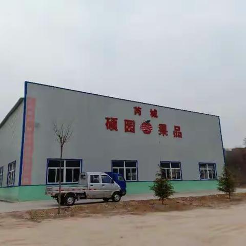 “走进硕园果品”——杜庄幼儿园社会实践活动