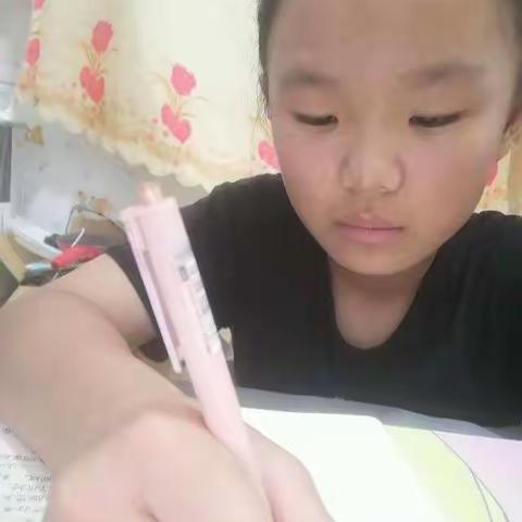 简单的生活的美篇