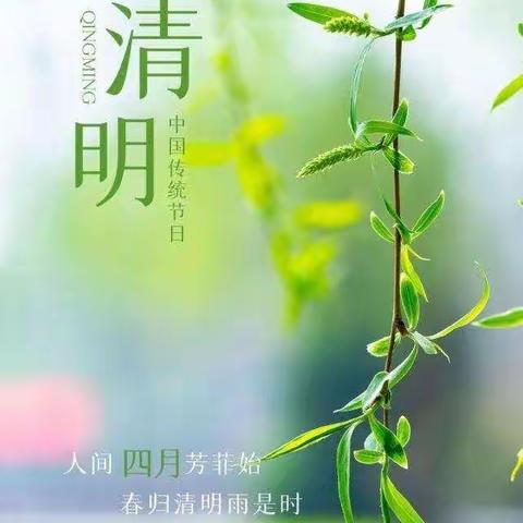 “春雨润于心，清明融于情”—康巴什区第八小学一（1）班主题活动