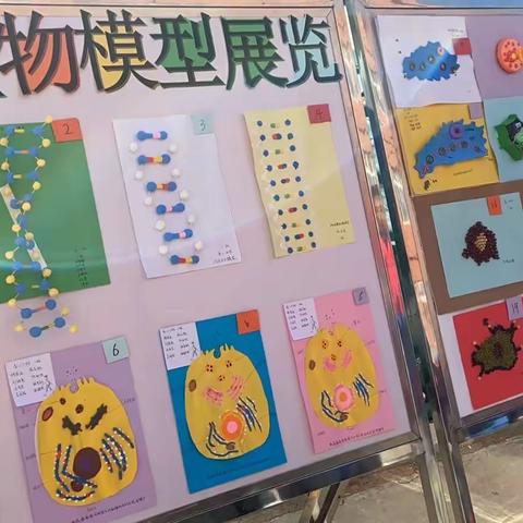 青龙县第二中学“丰富课余生活 发展核心素养”高二生物模型大赛