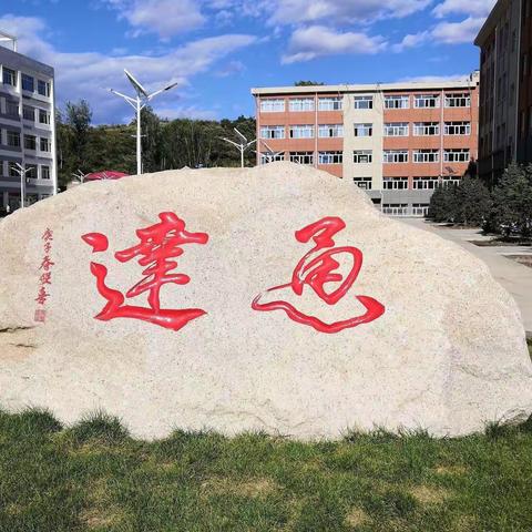 “感受自然温暖阳光，探索校园植物之美”——高二生物组开展校园植物调研活动