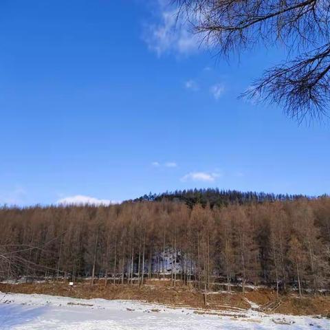 尽享大自然的恩赐