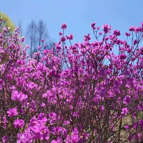 디카시 묶음(影像+文字）