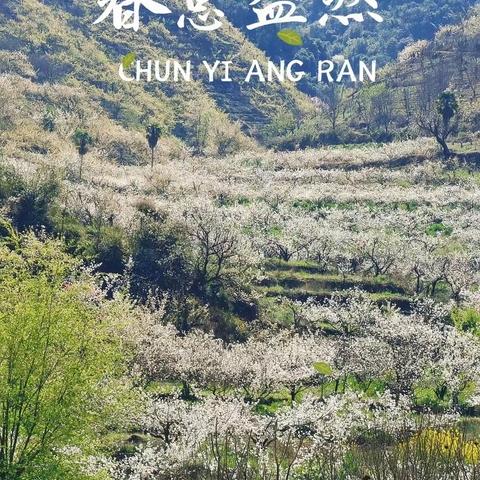 我的爱一直都在