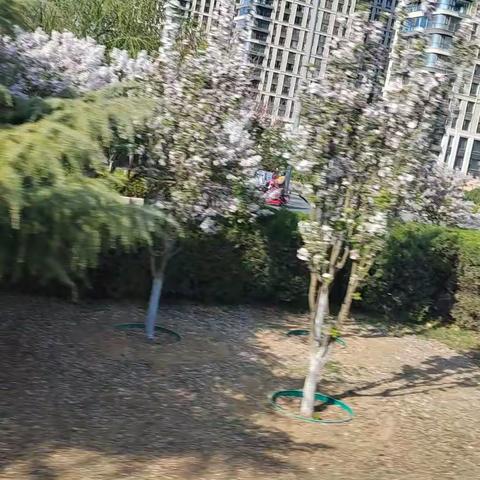 和美博园胡秀明（惜福）的美篇