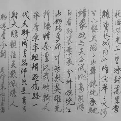 每日一练“沁园春•雪”之“行书”