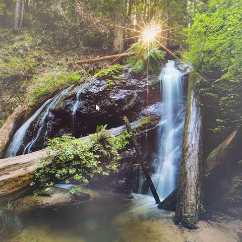 浅赞“水精神”
