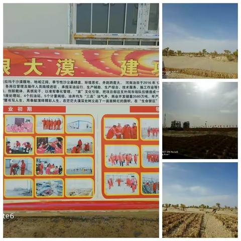 热情的沙漠!河南油田西部外创市场基层单位义务应急队伍培训圆满结束!