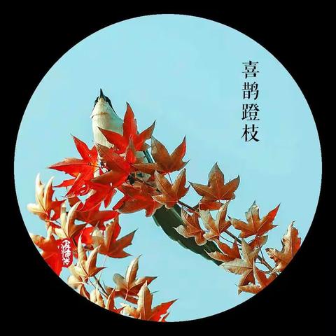 秋之韵