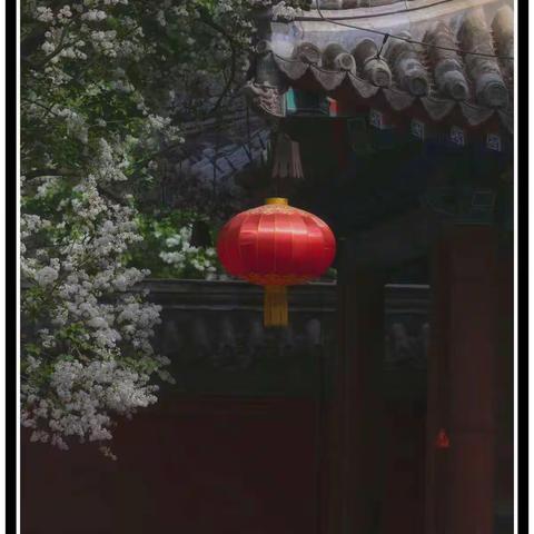 天涯海岸的美篇