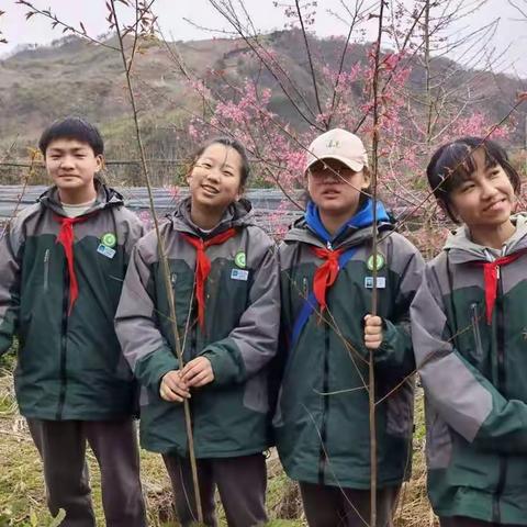 学雷锋植树忙