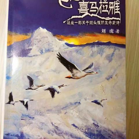 班班有读，快乐共读——仰山学校雏鹰班班班有读第五天