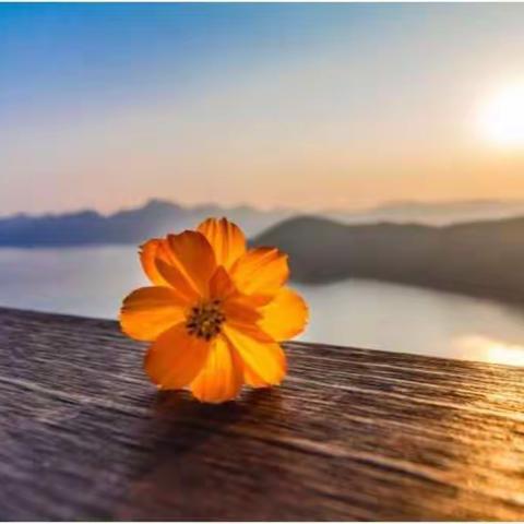 元式催眠课堂中一个个让我感动的瞬间