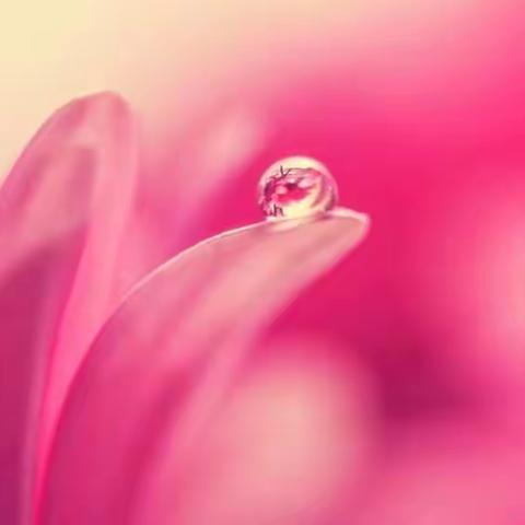 宁静致远的美篇