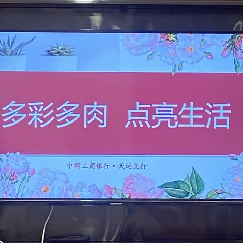 多肉造景  共创共赢