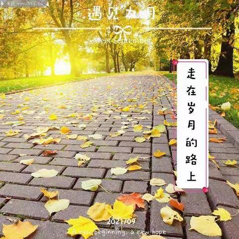 启研修之路   逐一路芳华