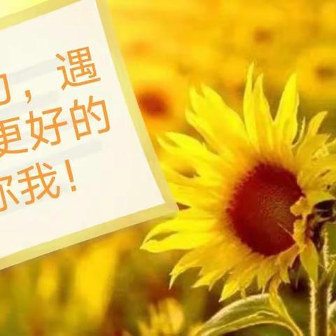 学无止境绽芳华 砥砺前行促提升