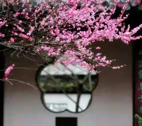 防疫正当时  学习不止步——西湖小学三年级三班