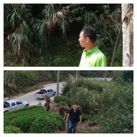 宦溪镇政府加大巡查力度确保林区安全