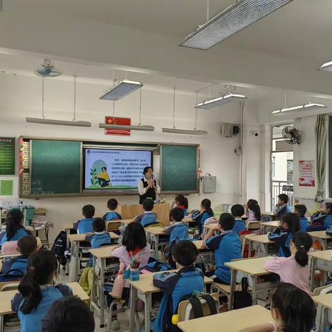 三班日志19｜ 红掌种植记