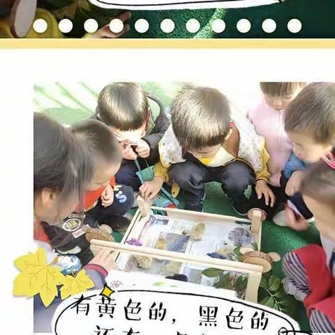 第一幼教集团第七幼儿园《在阳光下快乐飞扬》