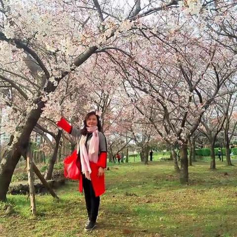 春暖花开🌸🌸🌸