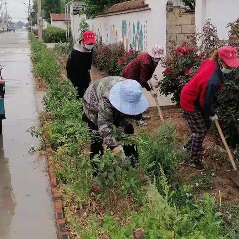 推进人居环境整治   建设美丽宜居乡村—王家洼村人居环境整治