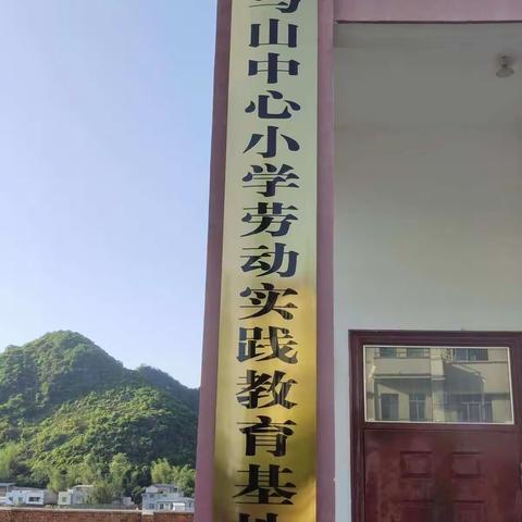 【党建引领】 育劳动之心    扬劳动之美——柳城县马山中心小学