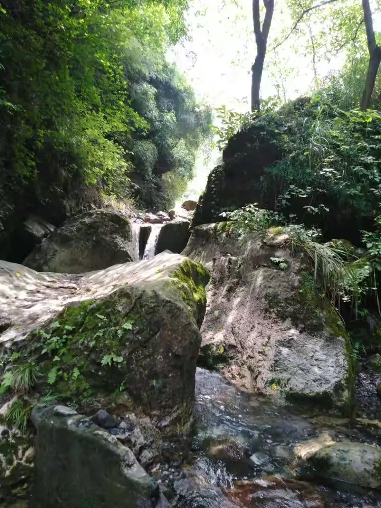 2019年7月20日,高三届住怀化同学第七次聚会于怀化仙人谷