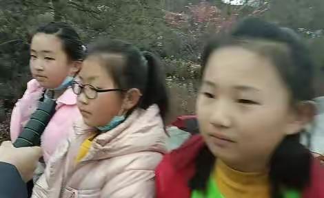 开学第一周 四年级四班小组约起来