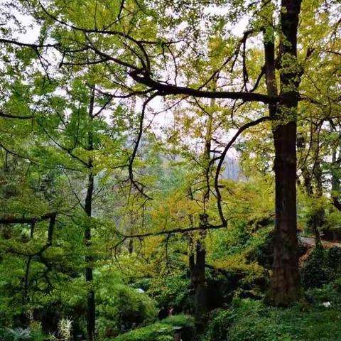 秋凉