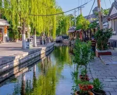 好客山东欢迎你，泉城学子在行动