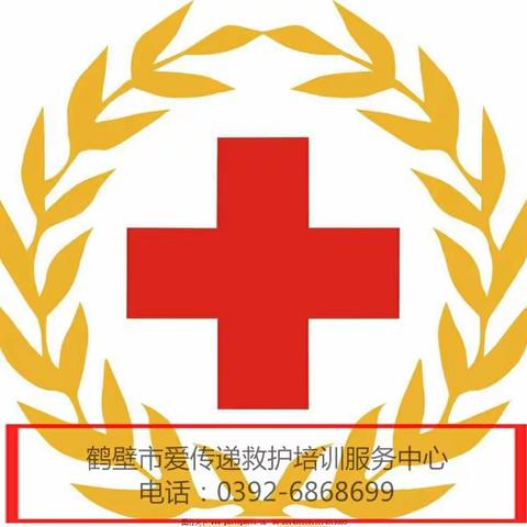 2018年鹤壁市爱传递第一期急救知识培训