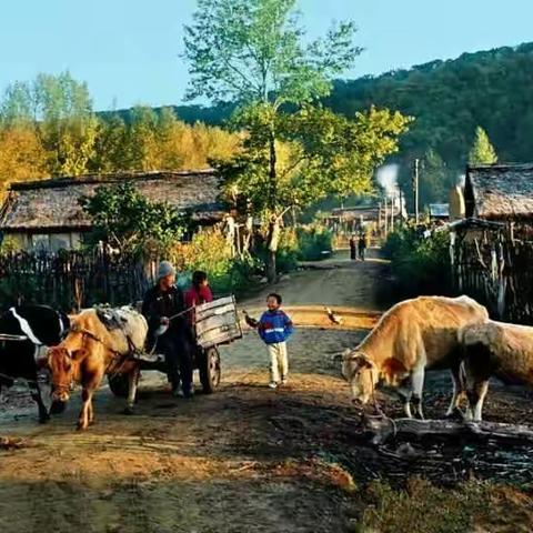 农民韩大哥