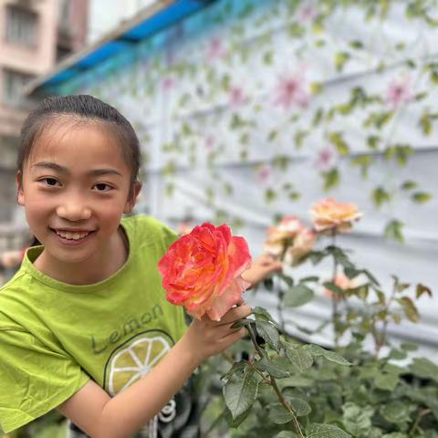 五月登莱花正艳，闲看儿童醉其间