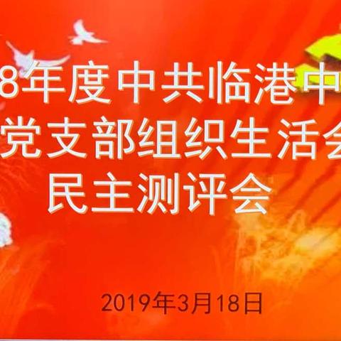 临港中心小学党支部召开2018年度组织生活会和民主测评会