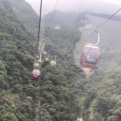 183852张高的暑假生活