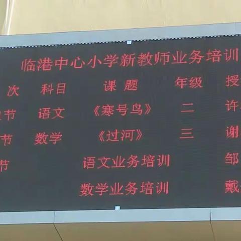 助成长 传新知——临港中心小学开展新教师业务培训活动