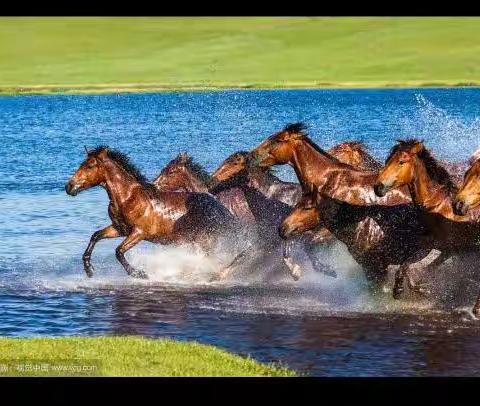 少年应有鸿鹄志，当骑骏马踏平川--记红河镇中学八年级二班