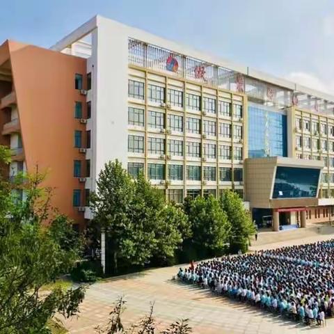 阳光下成长——7年级12班军训纪实