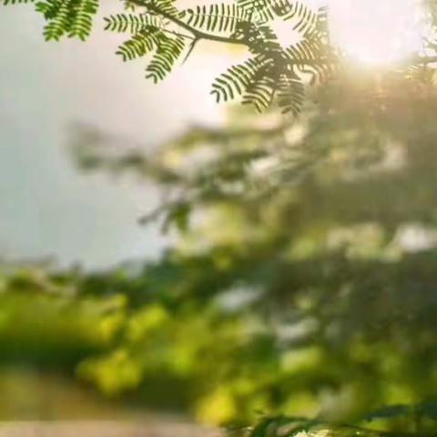 众志成城，控防疫情，共迎春暖花开