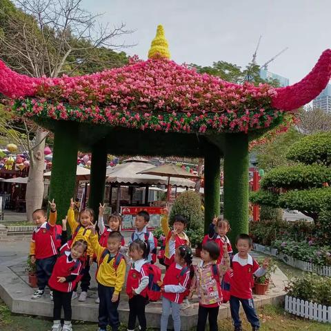 锦绣中华民族文化村一日游