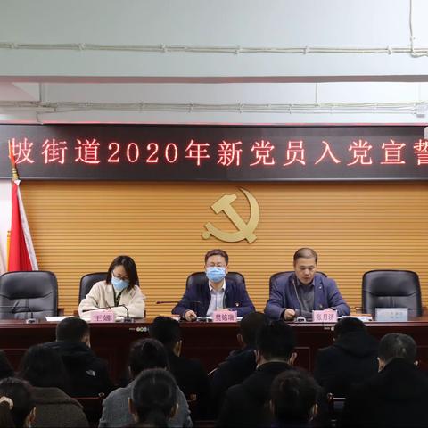 等驾坡街道举行2020年新党员入党宣誓仪式