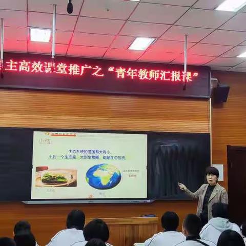 生态系统——高新区中学生物地理组青年教师汇报课