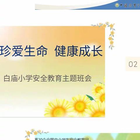 关注安全，呵护生命――白庙小学促进学生健康成长主题活动