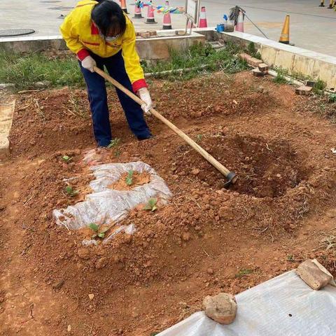 曲靖福宝加油站组织开展蔬菜绿植养护和环境打造活动