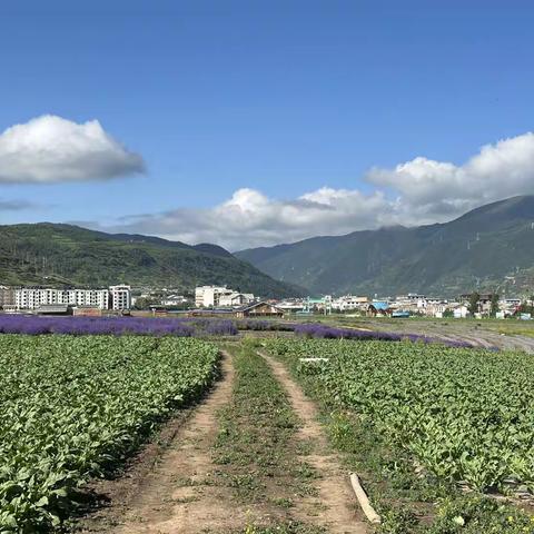 甘南之行第八天 —路上风景也美丽