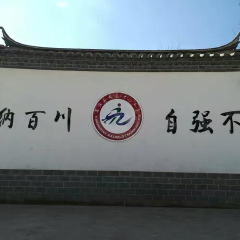 九龙中心小学2019年小学生篮球比赛