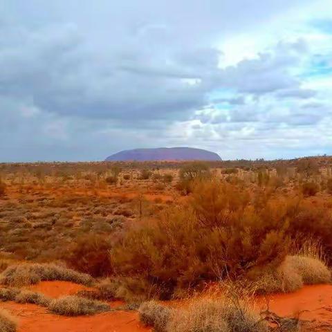 在袋鼠国的盛夏迎接鼠年～5乌鲁鲁Uluru