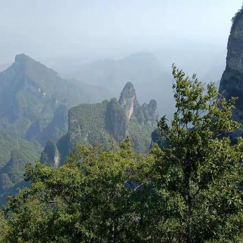 游记 张家界天门山森林公园